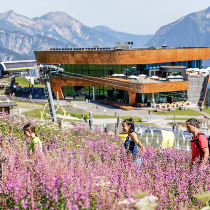 Spieljoch im Sommer mit Blick auf die Bergstation und die Blumenwiese